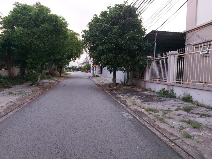 "Xanh" hóa Bình Dương - Ảnh 1.