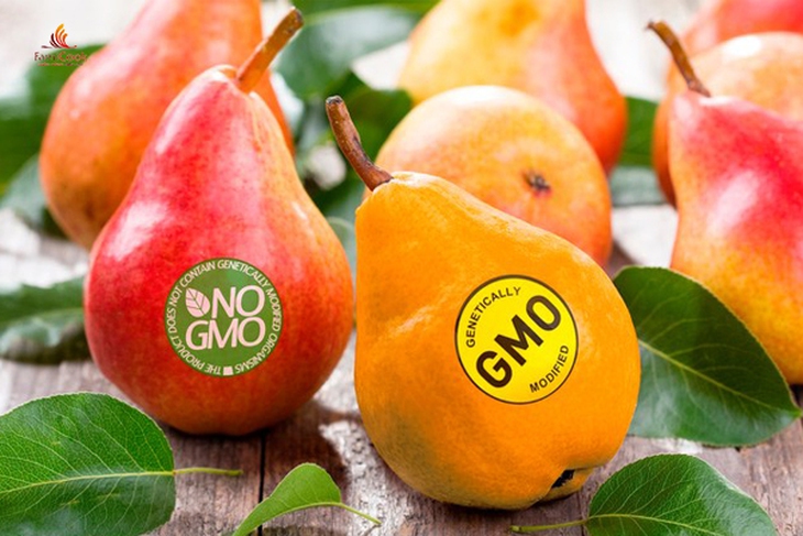 Sử dụng thực phẩm biến đổi gen, quyền quyết định ở người dùng - Ảnh 4.