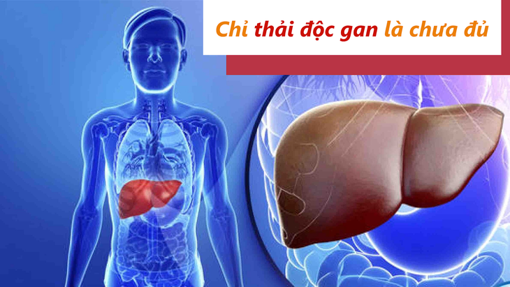 Thải độc gan - bảo vệ bạn trước bệnh gan nhưng chưa đủ! - Ảnh 1. Thải độc gan - bảo vệ bạn trước bệnh gan nhưng chưa đủ! - Ảnh 1.