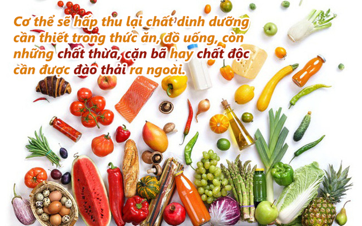 Thải độc gan - bảo vệ bạn trước bệnh gan nhưng chưa đủ! - Ảnh 2. Thải độc gan - bảo vệ bạn trước bệnh gan nhưng chưa đủ! - Ảnh 2.