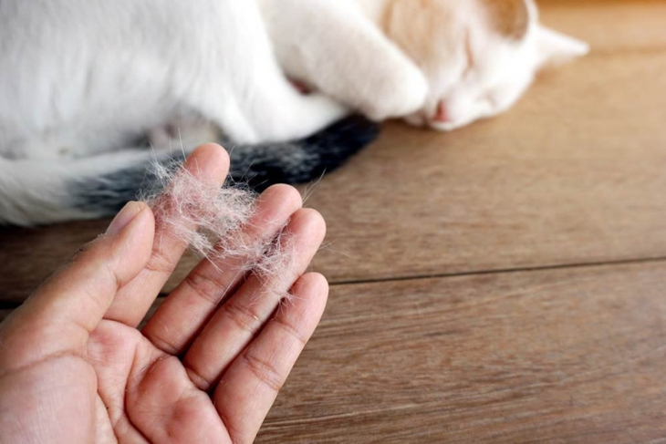 Cảnh giác với viêm da dị ứng - Ảnh 2. Cảnh giác với viêm da dị ứng - Ảnh 2.