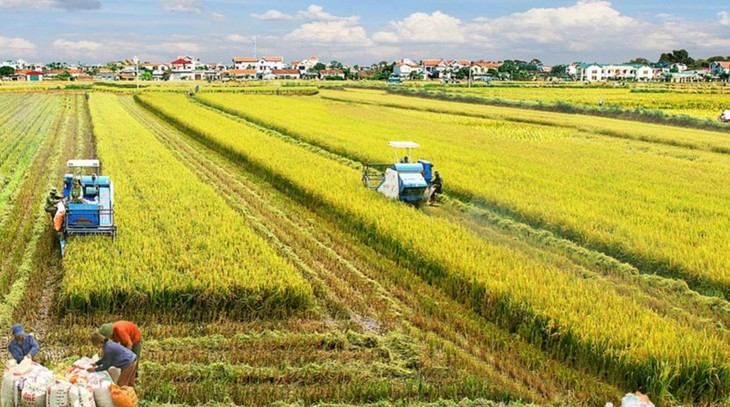 Huy động tổng lực kết nối tiêu thụ nông sản phía Nam - Ảnh 1. Huy động tổng lực kết nối tiêu thụ nông sản phía Nam - Ảnh 1.