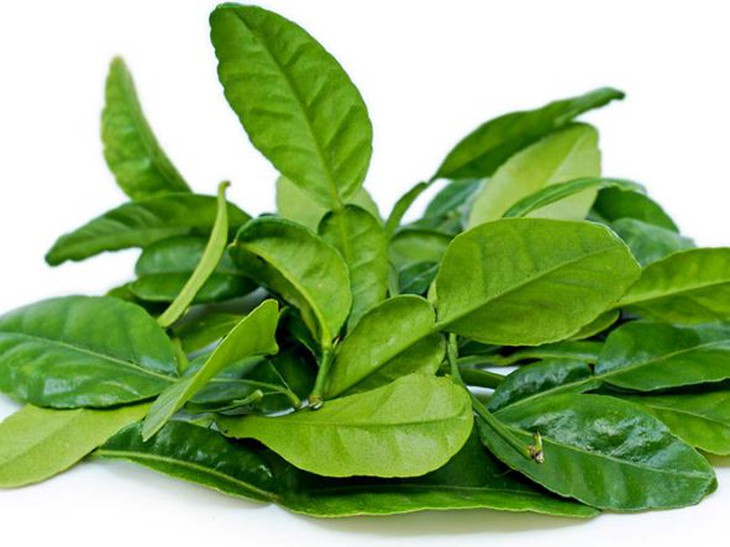 Cách xông, đánh cảm chữa cảm cúm bằng thuốc nam    - Ảnh 2.
