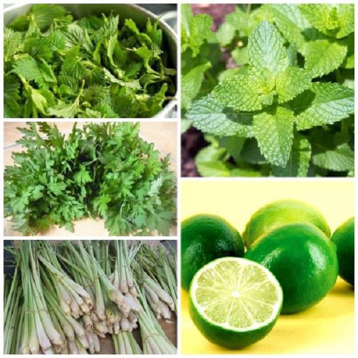 Liệu pháp xông hơi trong mùa dịch - Ảnh 4.
