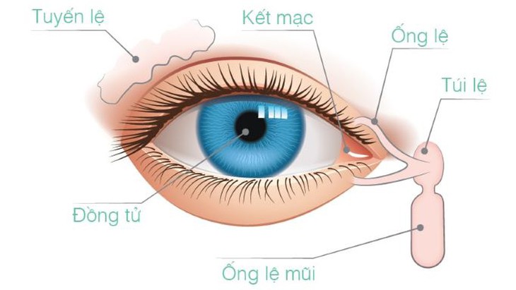 Cách phòng một số chứng bệnh mắt - Ảnh 1.
