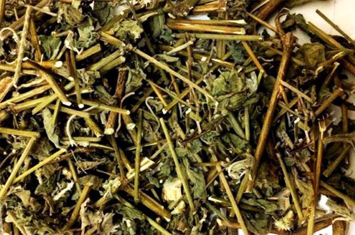 Thiên niên kiện trị các bệnh xương khớp - Ảnh 3.