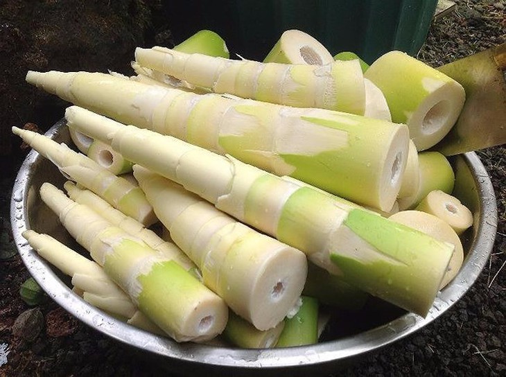 Điểm mặt một số thực phẩm tự nhiên có độc - Ảnh 3.
