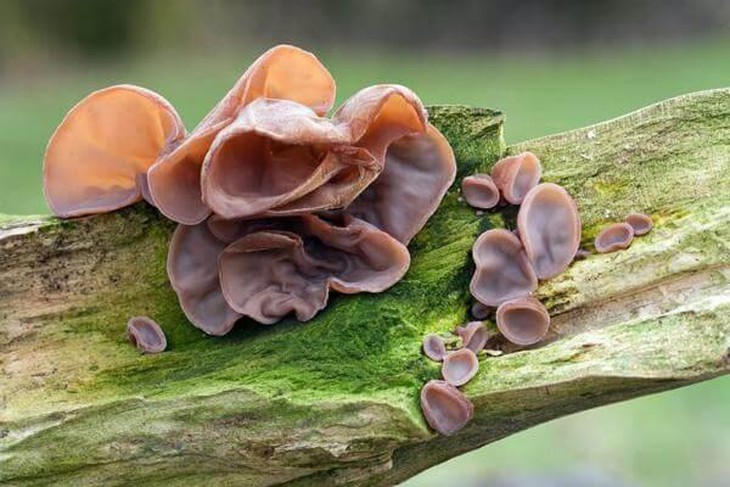 photo-1629893893701