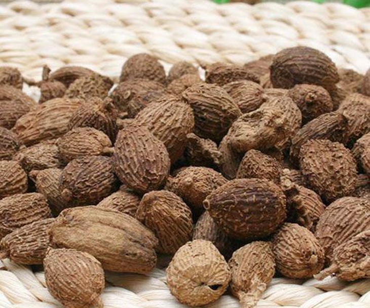 Thịt ếch - hoạt huyết, giải độc - Ảnh 3. Thịt ếch - hoạt huyết, giải độc - Ảnh 3.