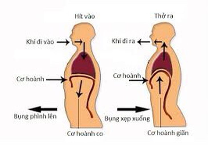 6 nguyên tắc bệnh nhân COVID - 19 sau khi phục hồi cần nhớ - Ảnh 4. 6 nguyên tắc bệnh nhân COVID - 19 sau khi phục hồi cần nhớ - Ảnh 4.
