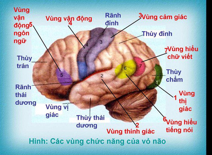 Những nguyên nhân khiến trẻ chậm nói cha mẹ cần biết - Ảnh 3.
