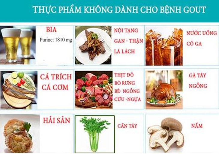 Người cao tuổi bị bệnh gút nên ăn gì và tránh ăn gì? - Ảnh 6.