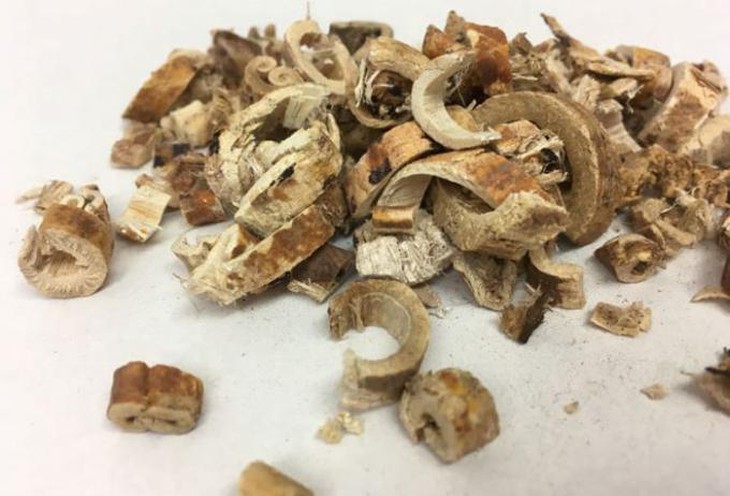 photo-1628156465644