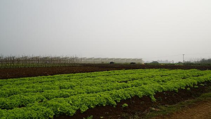 photo-1628217277802