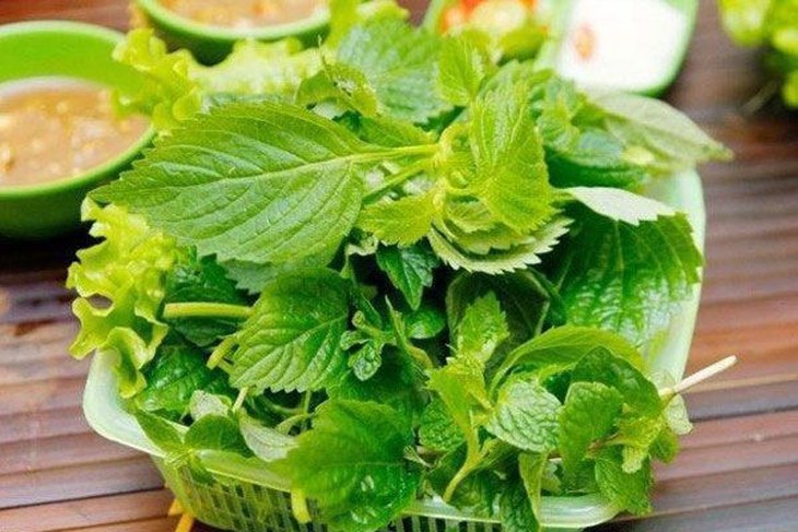 Kinh giới phòng trị nhiều bệnh - Ảnh 2. Kinh giới phòng trị nhiều bệnh - Ảnh 2.