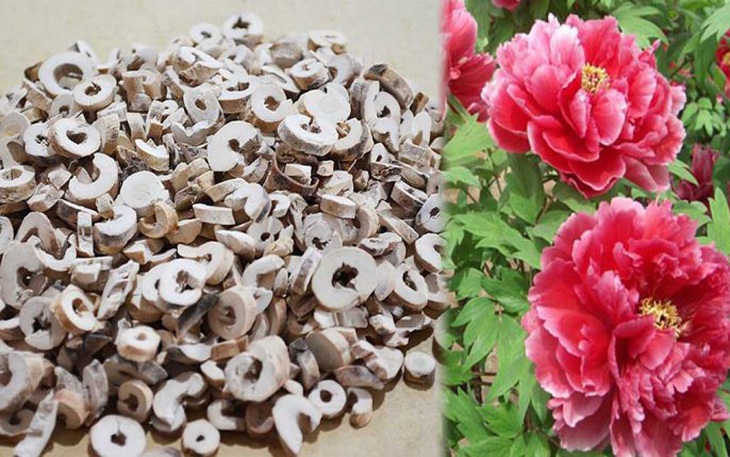 Mẫu đơn bì -  thuốc thanh huyết nhiệt, tiêu ứ kết