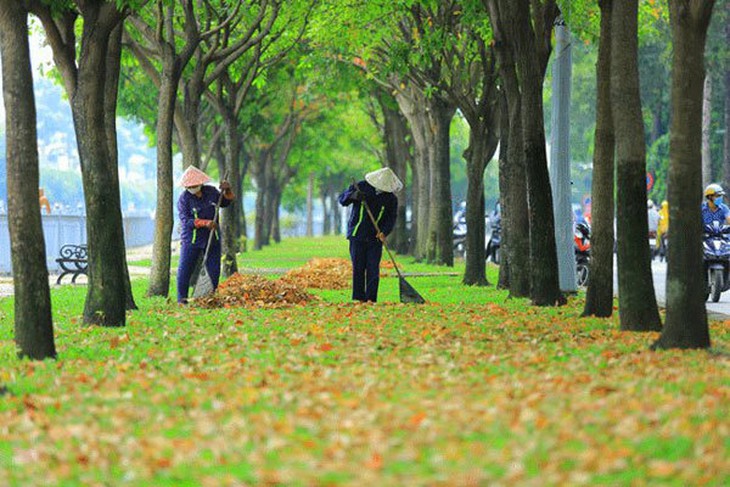 Thư Sài Gòn (số 25): Sài Gòn thu vẫn âm thầm hương sắc - Ảnh 2.