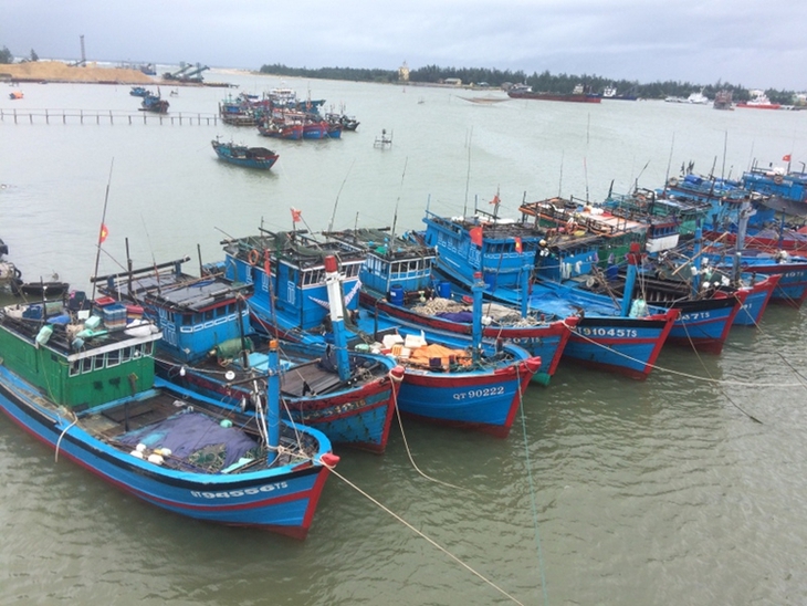 Các phương tiện neo đậu phòng chống bão số 5