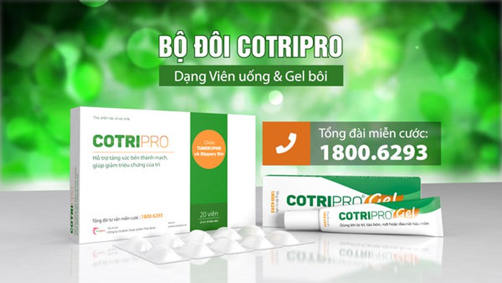 Thảo dược hỗ trợ cải thiện nhanh tình trạng khó chịu do bệnh trĩ gây ra - Ảnh 6.