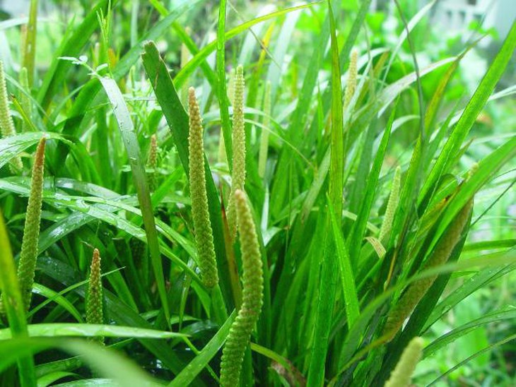 photo-1631430132977