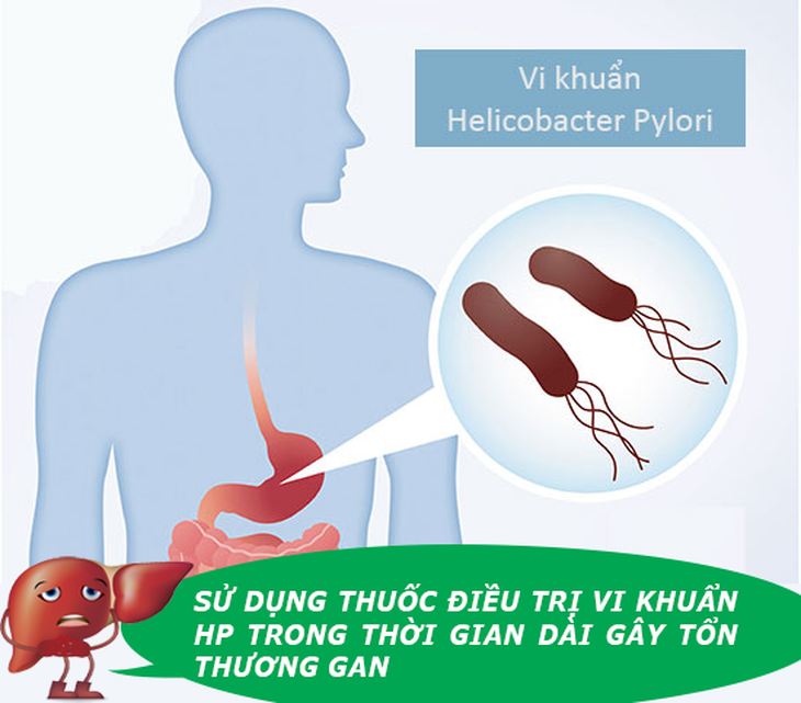 Gan yếu do dùng thuốc dài ngày. Đừng chủ quan! - Ảnh 1.