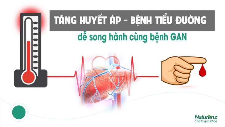 Giải pháp hỗ trợ giải độc gan hiệu quả cho người mắc bệnh mạn tính - Ảnh 1.