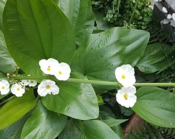 photo-1631611610290
