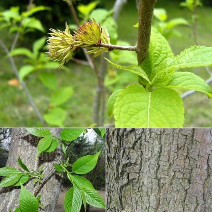 photo-1631615097915