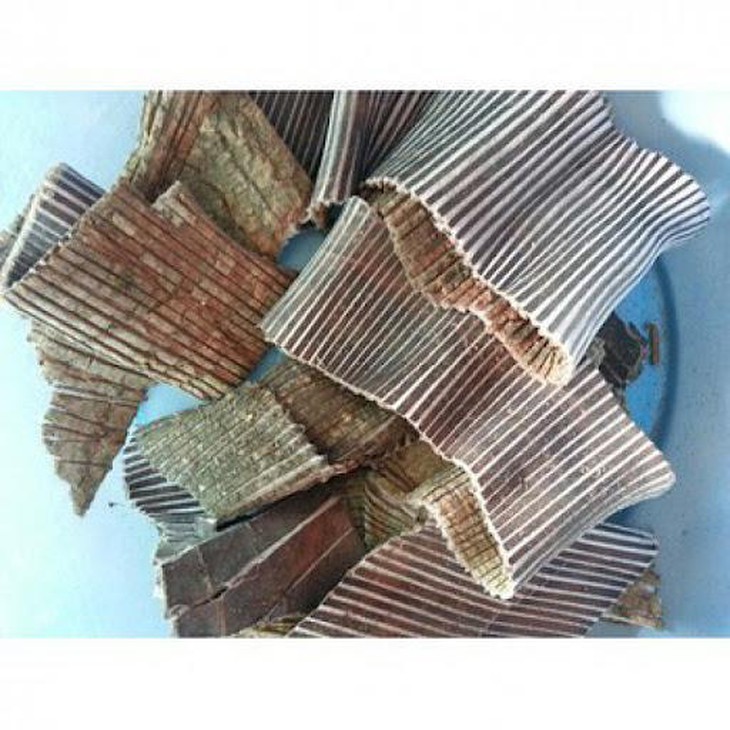 photo-1631615099353