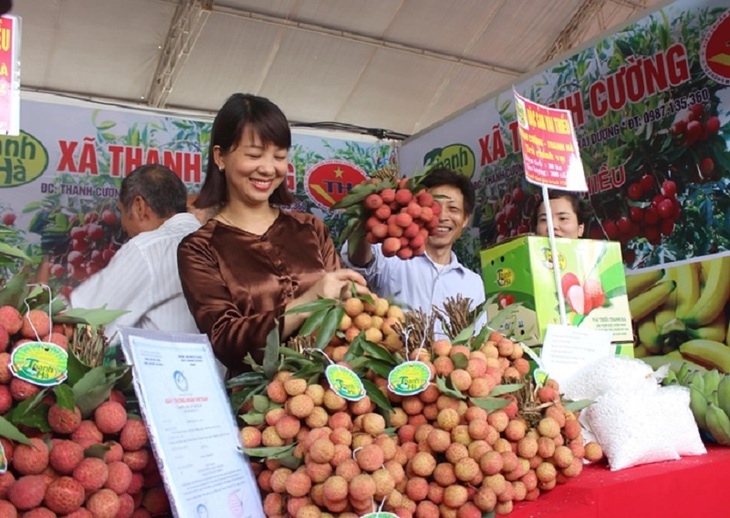 “Giấy đi đường” cho nhiều hoa quả “truyền thống” trong mùa dịch - Ảnh 4.