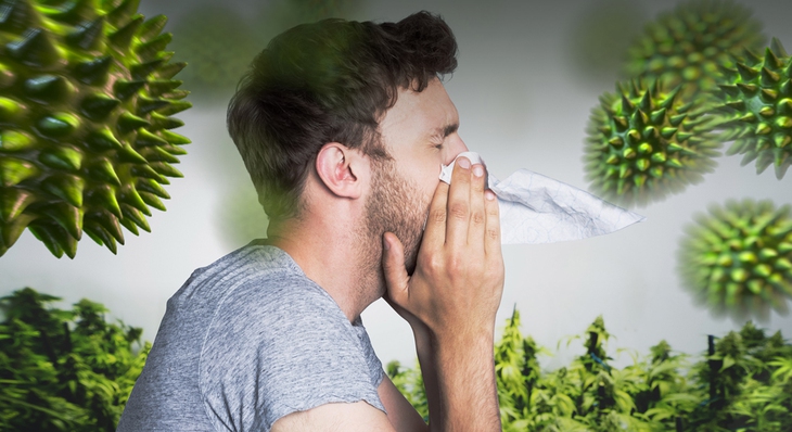 Thuốc kháng histamine có làm tăng huyết áp? - Ảnh 1.