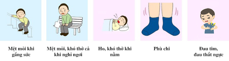 Dày thất trái - Căn bệnh nguy hiểm thường gặp ở người tăng huyết áp - Ảnh 2.