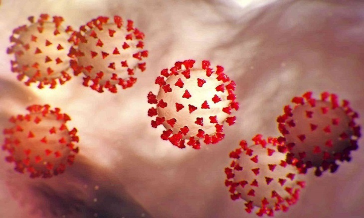 NGOÀI PHỔI, COVID-19 CÒN ẢNH HƯỞNG TIM MẠCH, GAN, THẬN, TIÊU HÓA… - Ảnh 3. NGOÀI PHỔI, COVID-19 CÒN ẢNH HƯỞNG TIM MẠCH, GAN, THẬN, TIÊU HÓA… - Ảnh 3.