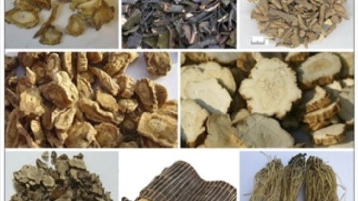 Bài thuốc trị thoái hóa khớp gối - Ảnh 2. Bài thuốc trị thoái hóa khớp gối - Ảnh 2.