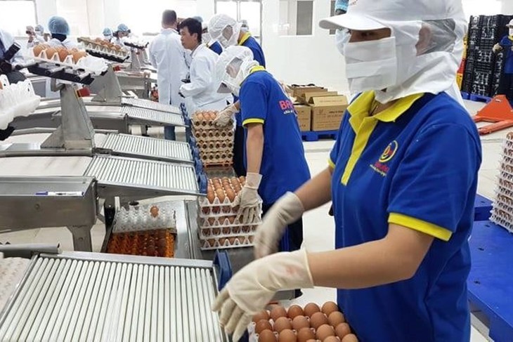 "Liều thuốc" giúp doanh nghiệp nhỏ vượt sóng gió đại dịch COVID-19 - Ảnh 2.