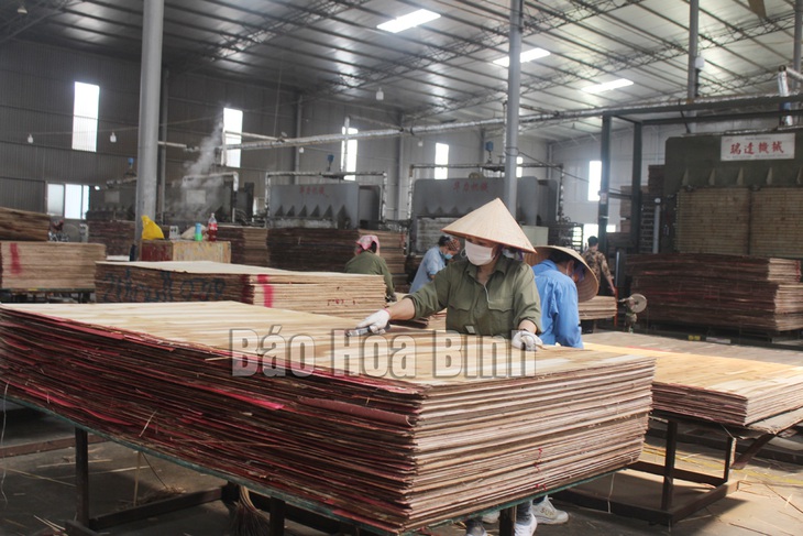 "Liều thuốc" giúp doanh nghiệp nhỏ vượt sóng gió đại dịch COVID-19 - Ảnh 1.