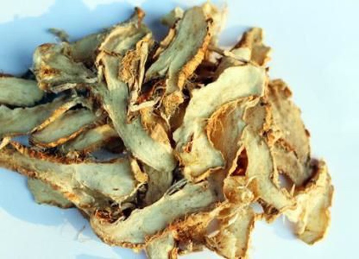 Phương thuốc hay trị cảm sốt, miệng khô khát - Ảnh 1. Phương thuốc hay trị cảm sốt, miệng khô khát - Ảnh 1.