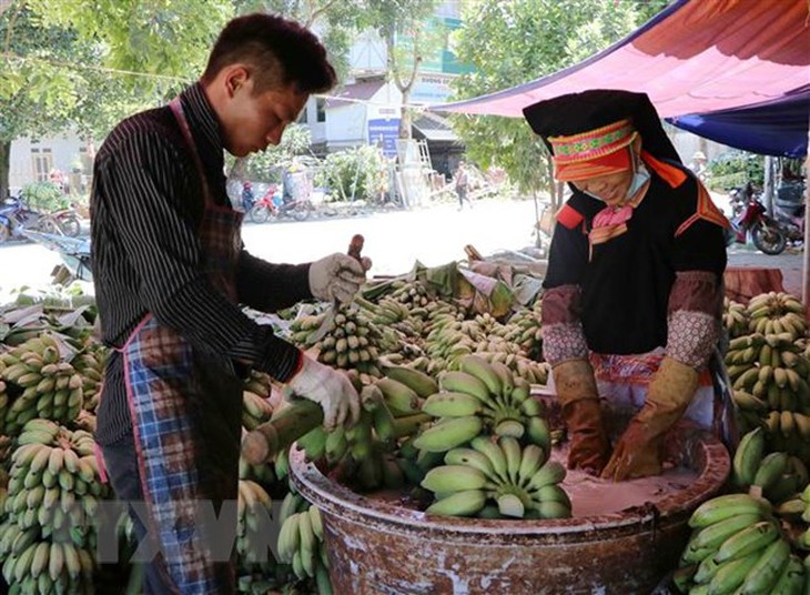 Thúc đẩy sản xuất, lưu thông, xuất khẩu nông sản - Ảnh 2. Thúc đẩy sản xuất, lưu thông, xuất khẩu nông sản - Ảnh 2.