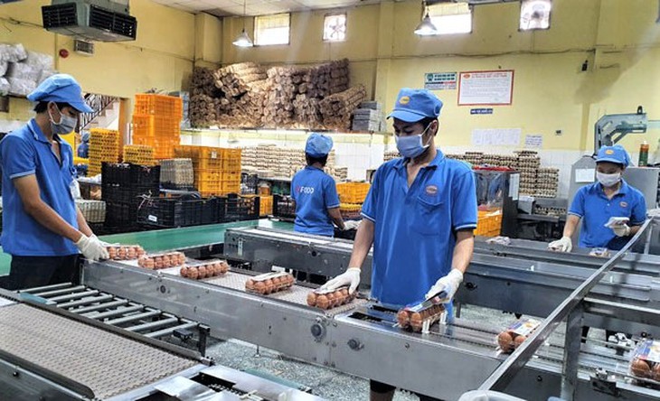 Phương án "4 xanh" - Cần tính đồng bộ trong triển khai - Ảnh 4.