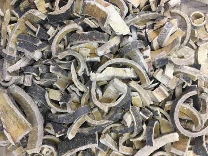 Hợp hoan bì - an thần, giải uất, tiêu ung - Ảnh 2.