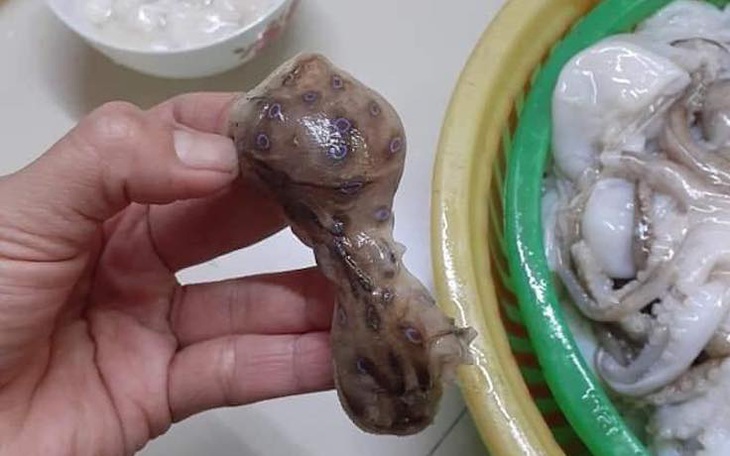 Một số loại cá, hải sản nên thận trọng khi ăn để phòng nguy cơ ngộ độc nặng