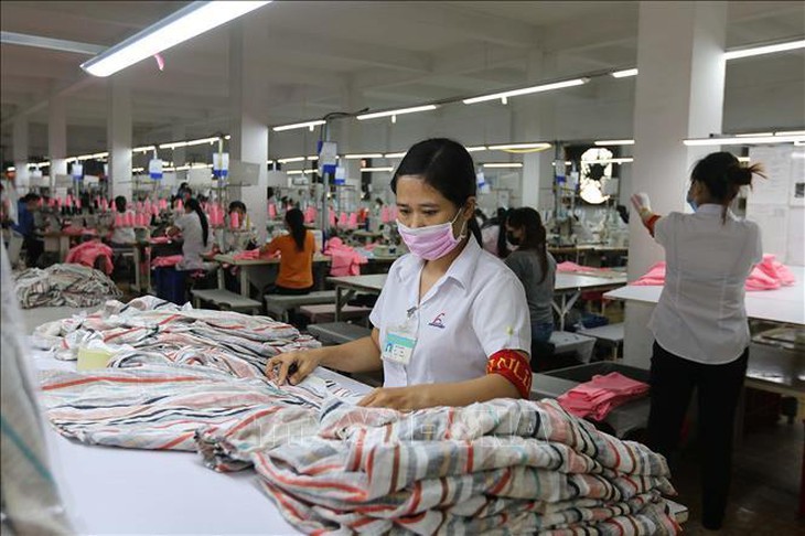 Củng cố khối tư nhân sau đại dịch, thúc đẩy tăng trưởng kinh tế Việt Nam - Ảnh 2.