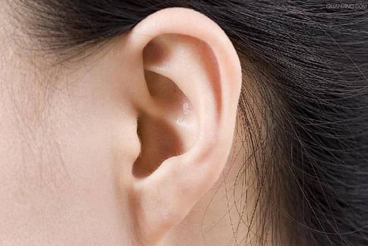 Những người có tướng mặt như thế này thì cả đời có vàng, sau này sẽ thành hung khí, tiền bạc ngập đầu. - Ảnh 2. Người sở hữu dái tai dày thường là những người có tướng mặt trường thọ