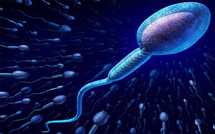 9 thói quen không ngờ làm giảm chất lượng tinh trùng của quý ông