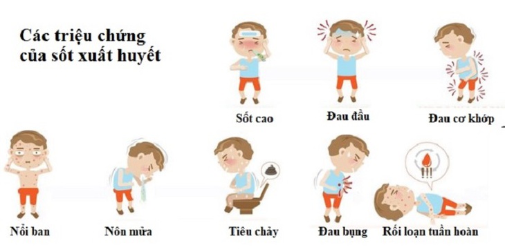 Sốt xuất huyết trẻ em: Triệu chứng và cách chăm sóc cần lưu ý trong dịch COVID-19 - Ảnh 5. Sốt xuất huyết trẻ em: Triệu chứng và cách chăm sóc cần lưu ý trong dịch COVID-19 - Ảnh 5.