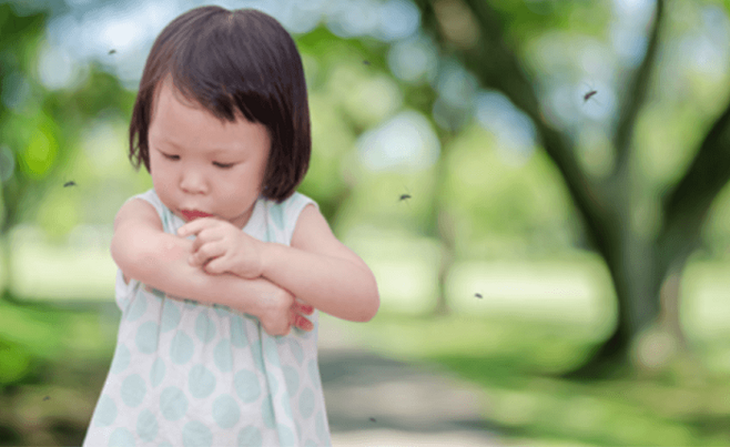 Sốt xuất huyết trẻ em: Triệu chứng và cách chăm sóc cần lưu ý trong dịch COVID-19 - Ảnh 7. Sốt xuất huyết trẻ em: Triệu chứng và cách chăm sóc cần lưu ý trong dịch COVID-19 - Ảnh 7.