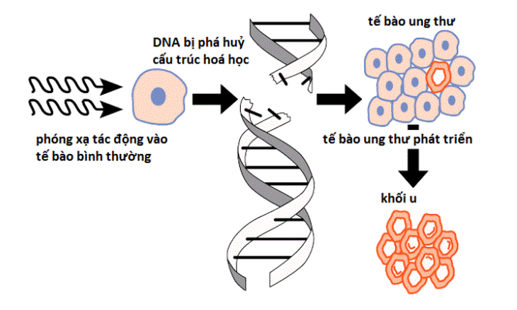 Làm gì khi biết mình mắc bệnh ung thư? - Ảnh 3.