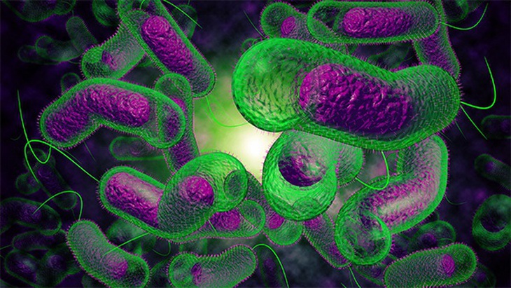 Nhiễm vi khuẩn Vibrio parahaemolyticus: Biểu hiện bệnh và cách điều trị - Ảnh 1.