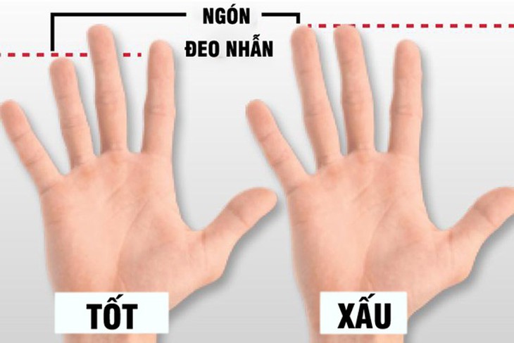 Một số đặc điểm trên cơ thể ngầm tiết lộ khả năng tình dục của quý ông - Ảnh 4.