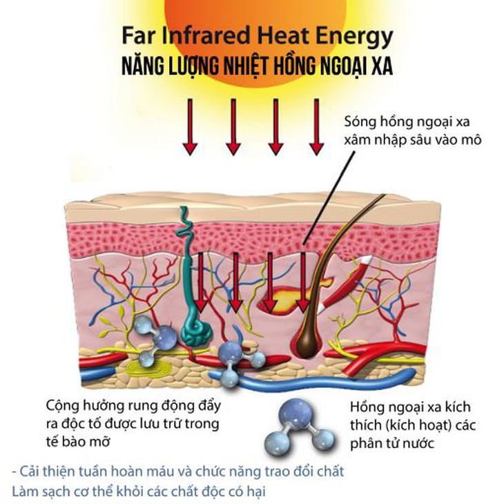 Giải mã khả năng chữa bệnh của tia hồng ngoại xa - Ảnh 1. Giải mã khả năng chữa bệnh của tia hồng ngoại xa - Ảnh 1.